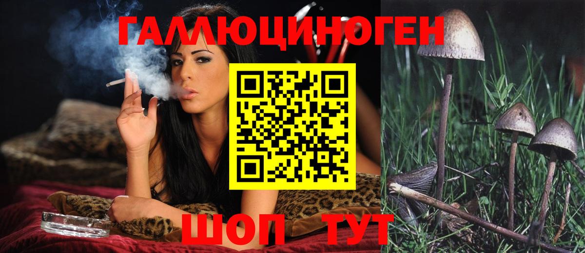Галлюциногенные грибы Psilocybine cubensis  Псилоцибиновые грибы MAGIC MUSHROOMS  Кимры  Вход с VPN 