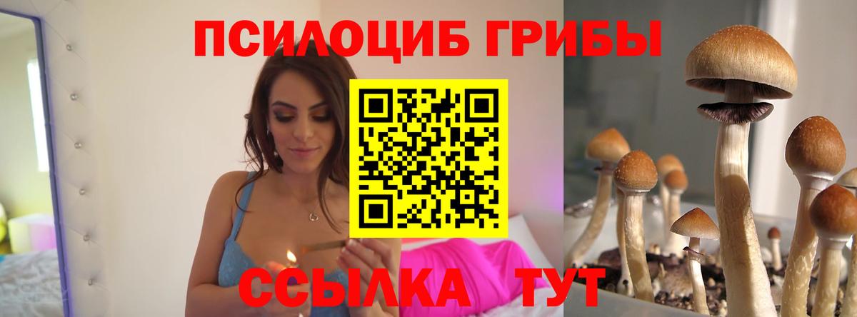 Галлюциногенные грибы Cubensis Кимры